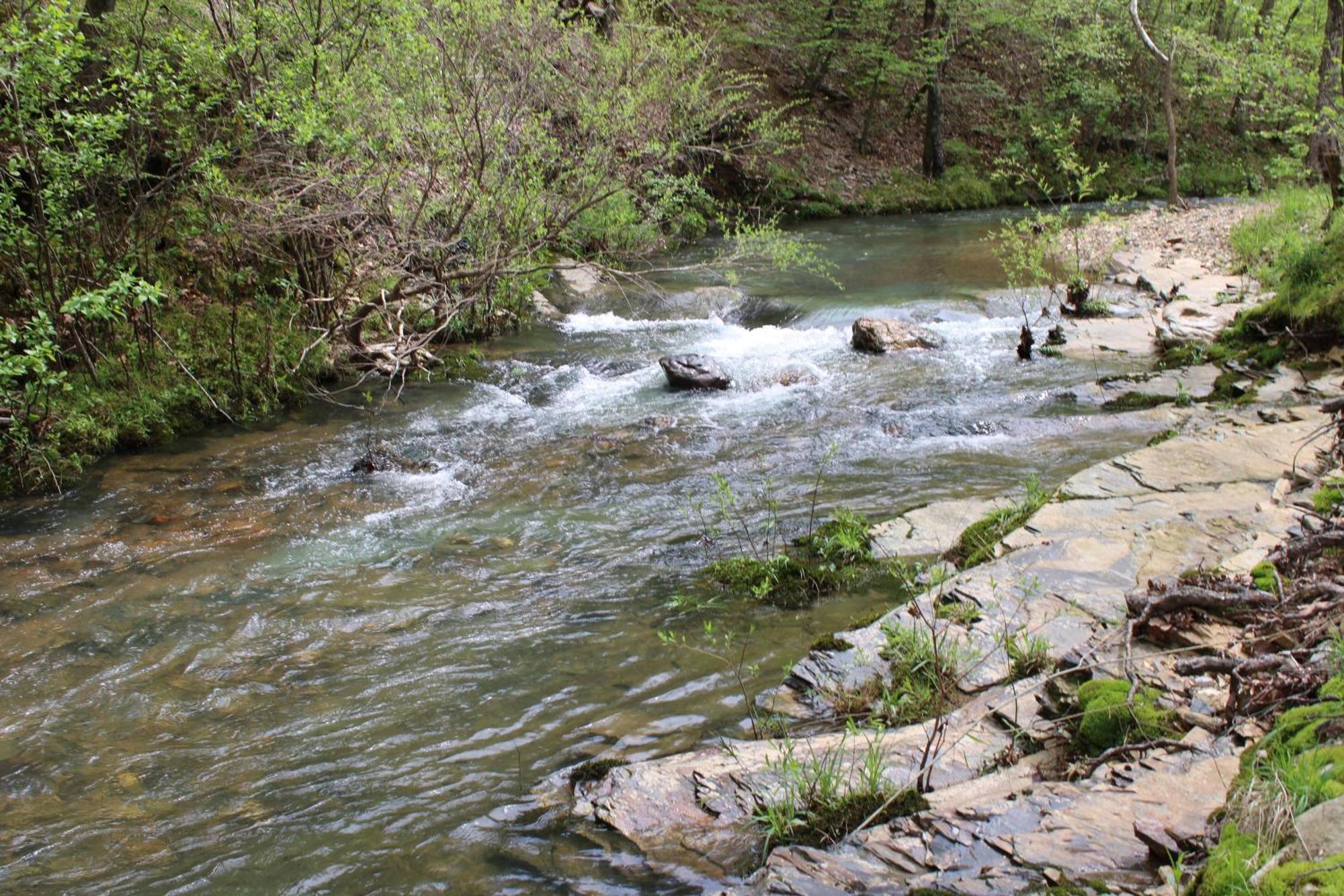 132 Catherine Park #1 Cozy Romantic Cabin On The Creek Villa Hot Springs Exteriör bild